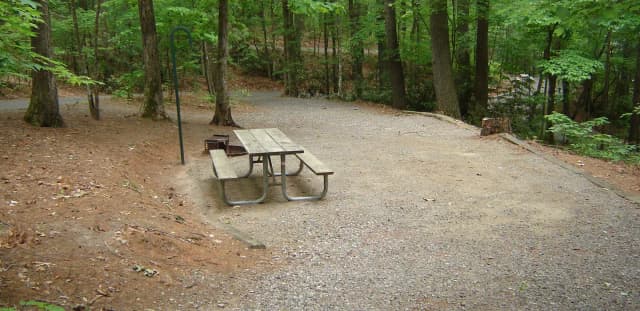 Site 39