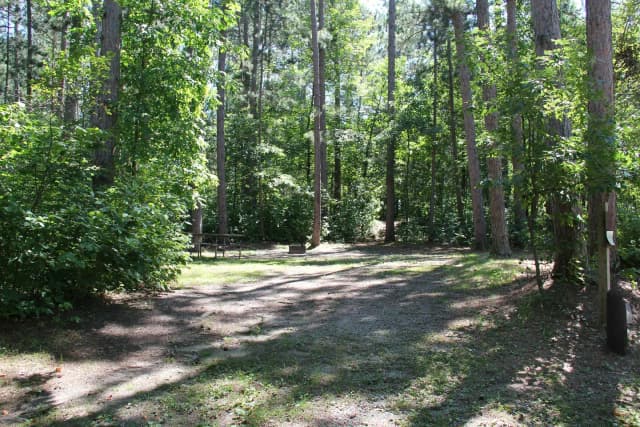 Site 16