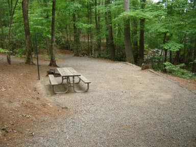 Site 39