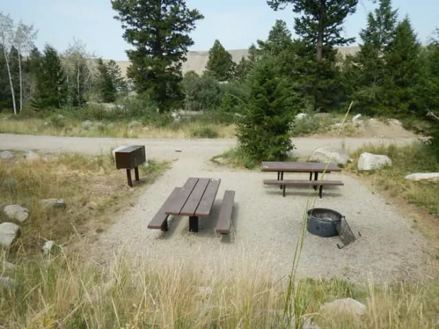 campsite 8