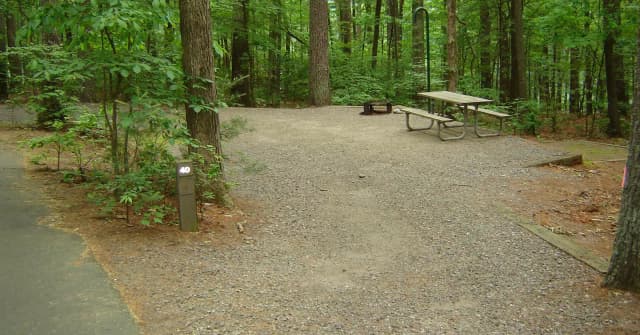 Site 40