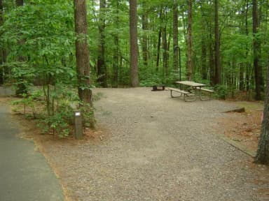 Site 40
