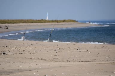 Fishing Poles at North Beach