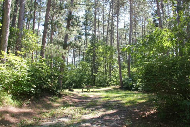 Site 18