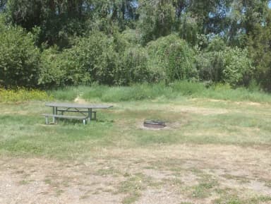 Site 005 at Hellgate Campground