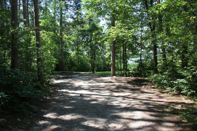 Site 19