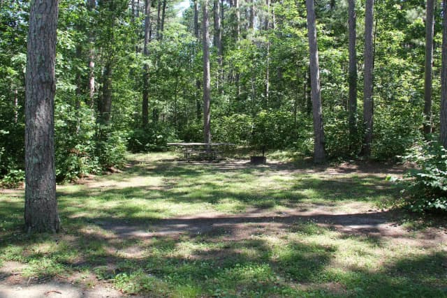 Site 20
