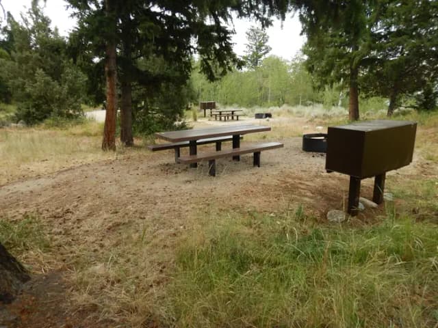 campsite 24