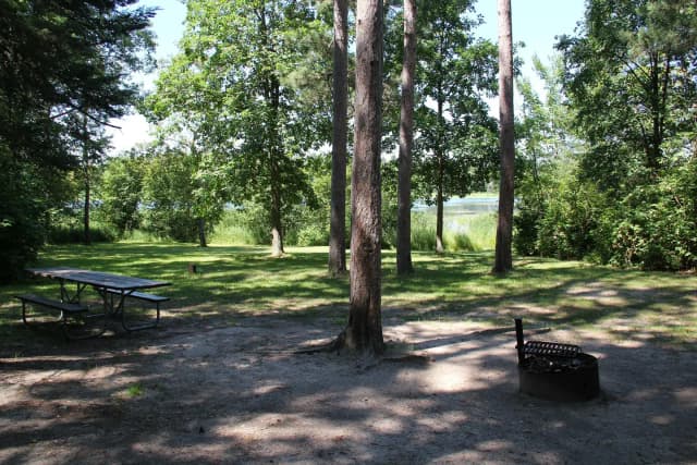 Site 21