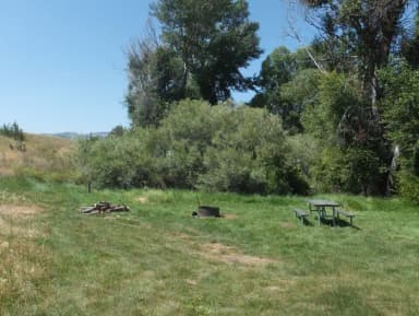 Site 010 at Hellgate Campground