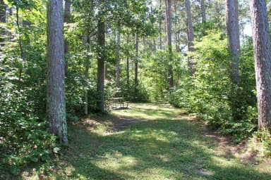 Site 22