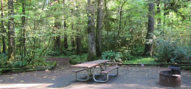 Camp area with picnic table, fire ring, access to river trail