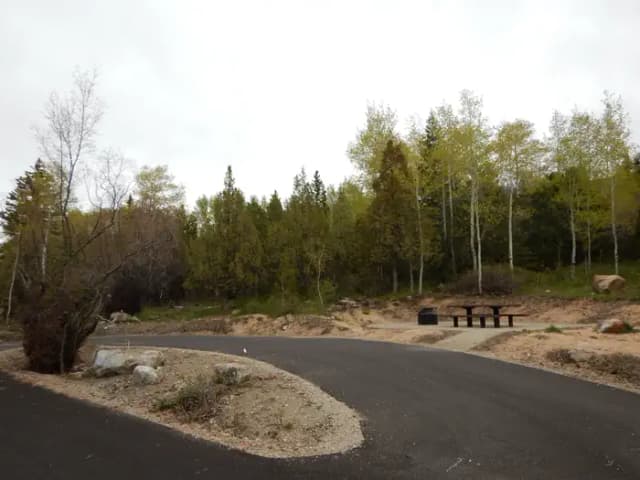 Campsite 36