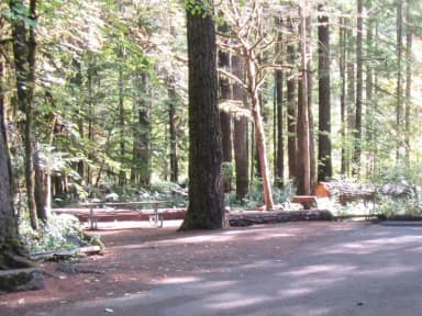 View of whole campsite with parking spur measuring 55'X13'