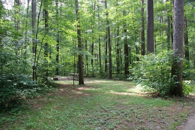 Site 1 South