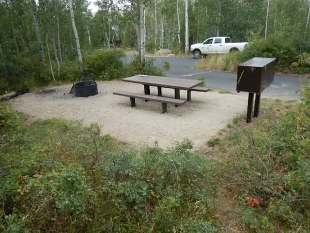 Campsite 37