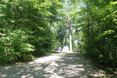 Site 1 North