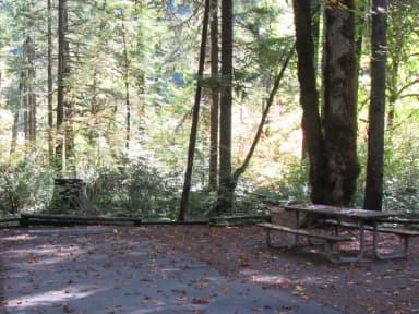 Picnic table and fire ring, access to river trail