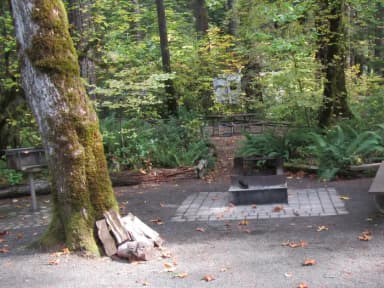 Grill, fire pit, picnic table with trail leading to site #23