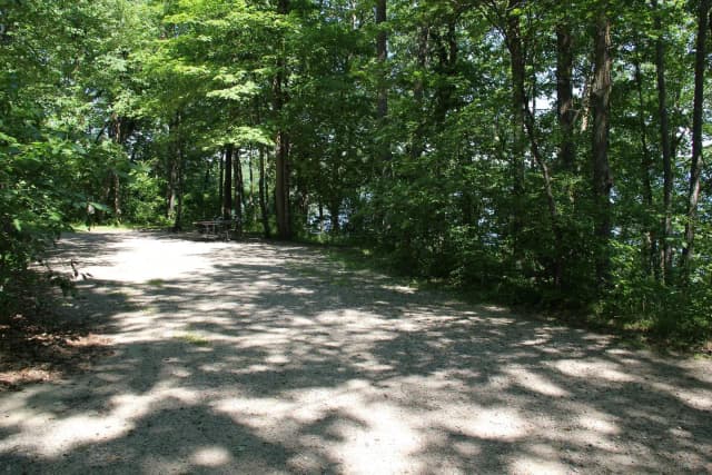 Site 2 North