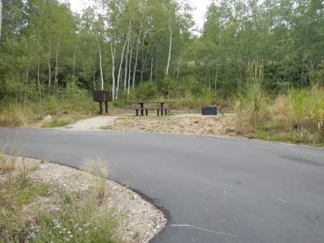 Campsite 39