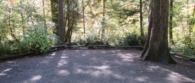 Large tent camping area, close to river trail