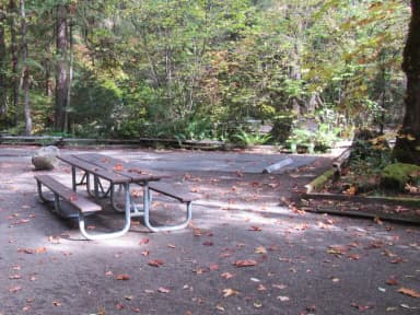 Picnic table and fire ring looking towards other camp sites