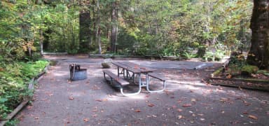 Picnic table and fire ring looking towards other camp sites