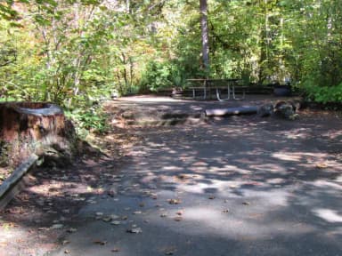 Whole camp site with steps up to camping area, parking spur measures 41'X12'