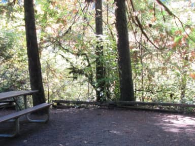 Site 28, picnic table with view of the river