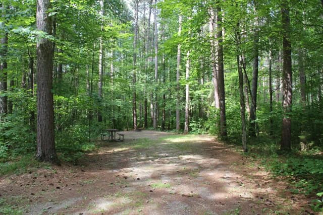 Site 2 South