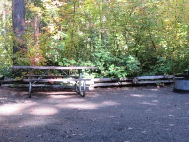 Camp area with picnic table, fire ring, close proximity to site #31