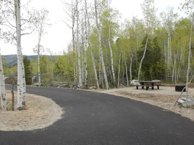 Campsite 49