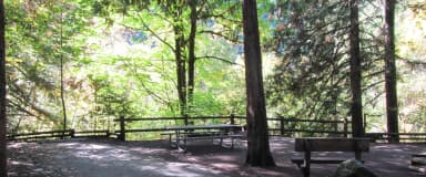 Large camp site with views of the river, sitting bench, picnic table and fire ring overlooking river