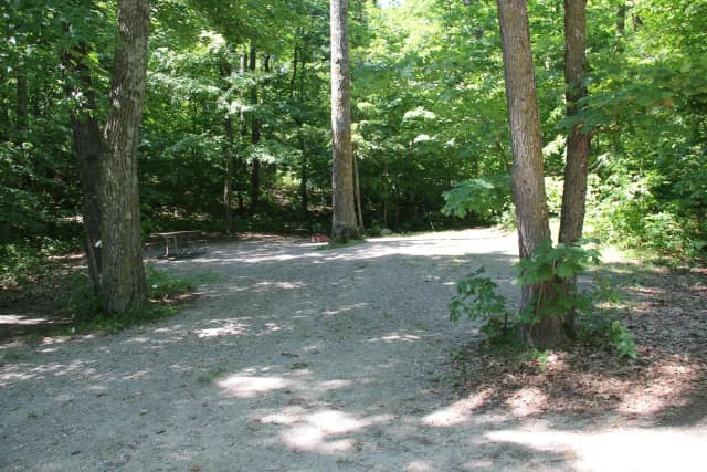 Site 3 North