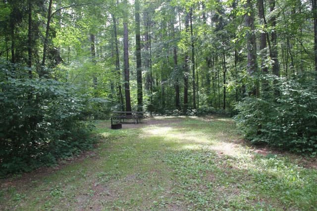 Site 3 South