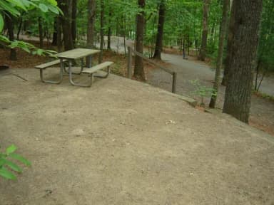 Site 41