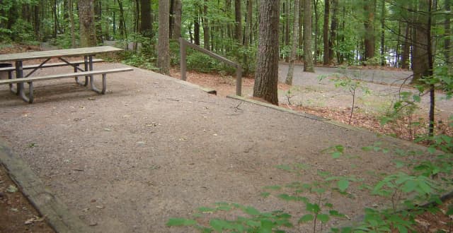 Site 42