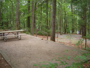 Site 42