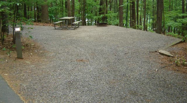 Site 43