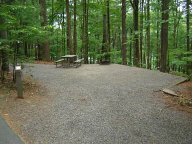 Site 43
