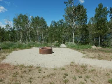 Group fire ring