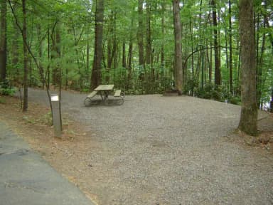Site 44