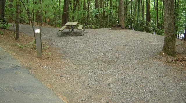 Site 44