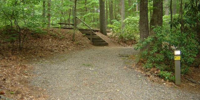 Site 45