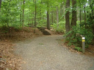 Site 45