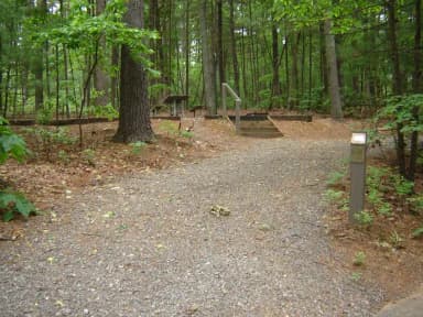 Site 46