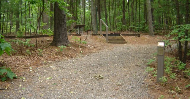 Site 46