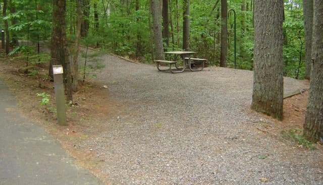 Site 47
