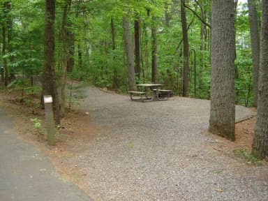 Site 47